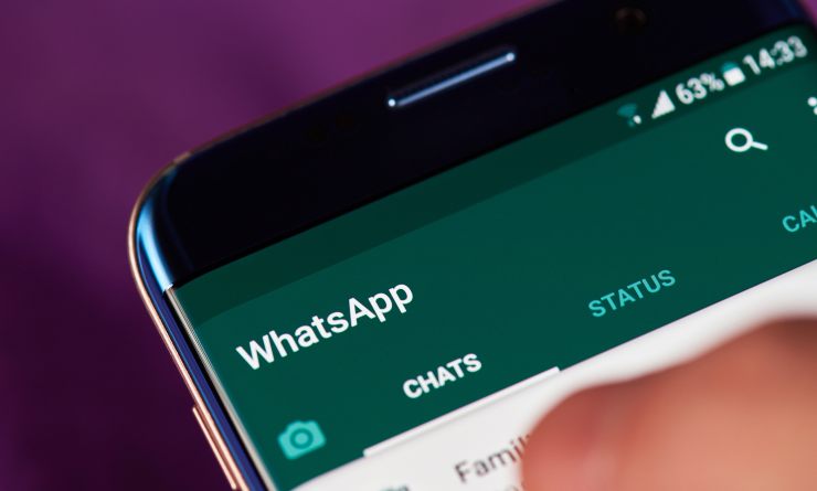 Le chat di WhatsApp - Jobsnews.it